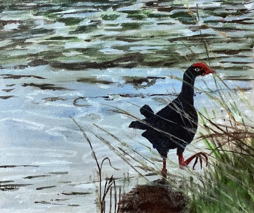 MOOR HEN
Water media on board
21 x 30 cm unframed
$60.00 MOOR HEN
Water media on board
21 x 30 cm unframed
$60.00